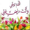 user7006156510575