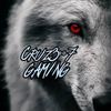 cruze_gaming007
