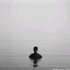 andrmda_811