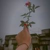 si.saju2