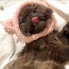 mimi.muznah
