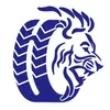 Blue Lion Rims & Tyres