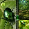 littlebeetle1994