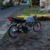 tiger_lundoyo
