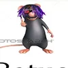 zltxxf