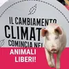 mauriziaburlando