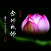 yvonnee0326