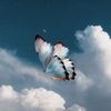 🦋H_S_A.842🦋