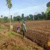 candrakurniawan291078