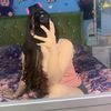 novita_3096