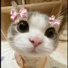 mudrikaa_24