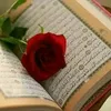 umomer_1