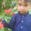 abdulhakim8187