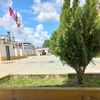 guevarita_23