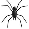 spider_________spider