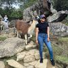 arapr18