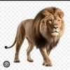 leozod98596