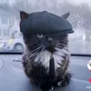 usercqnsummhmd