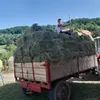ddimi27