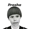prosha4ka_