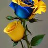 user83happylifeduet