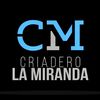 la_miranda82