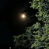 saudi_817