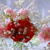 md.milon739
