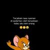snapsnap225