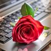 ibrahimjutt5722445gmail0