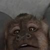 eminggua_