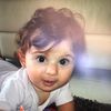 shahar77827