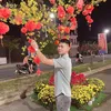 phth_3696