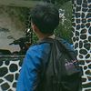 nzoo274