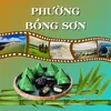 Phường Bồng Sơn Media