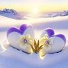 user7910103158593