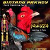bintang_pakhoy_