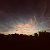 miiuu_galesio_