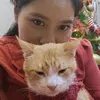 bosmon.cat