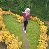 daisystar.id