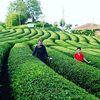 fatma_yilmaz.5353