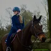 daisie1.x