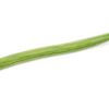 greenbeanfarmer789