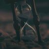 destino_casualidad_0827