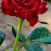 user6000861113944