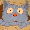 jp_5505