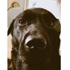 hello.keefer