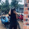 narnar22448