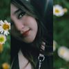 thalia_cse