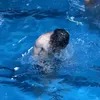 tamtu3a